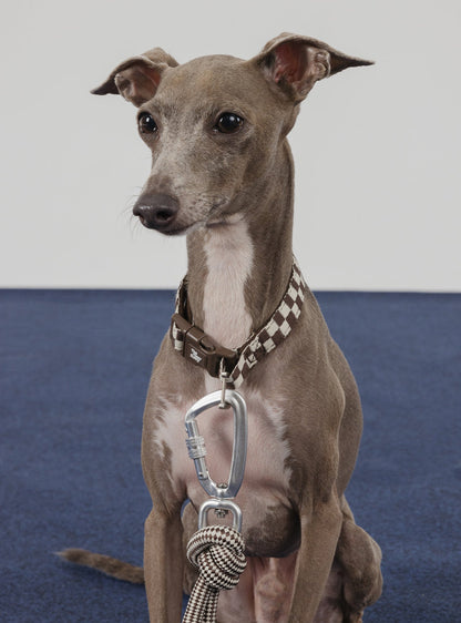 Pet Collar (Rum)