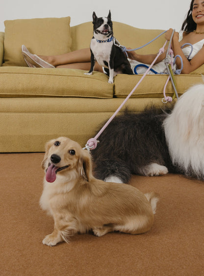 Multi-Way Rope Leash (Orchid)