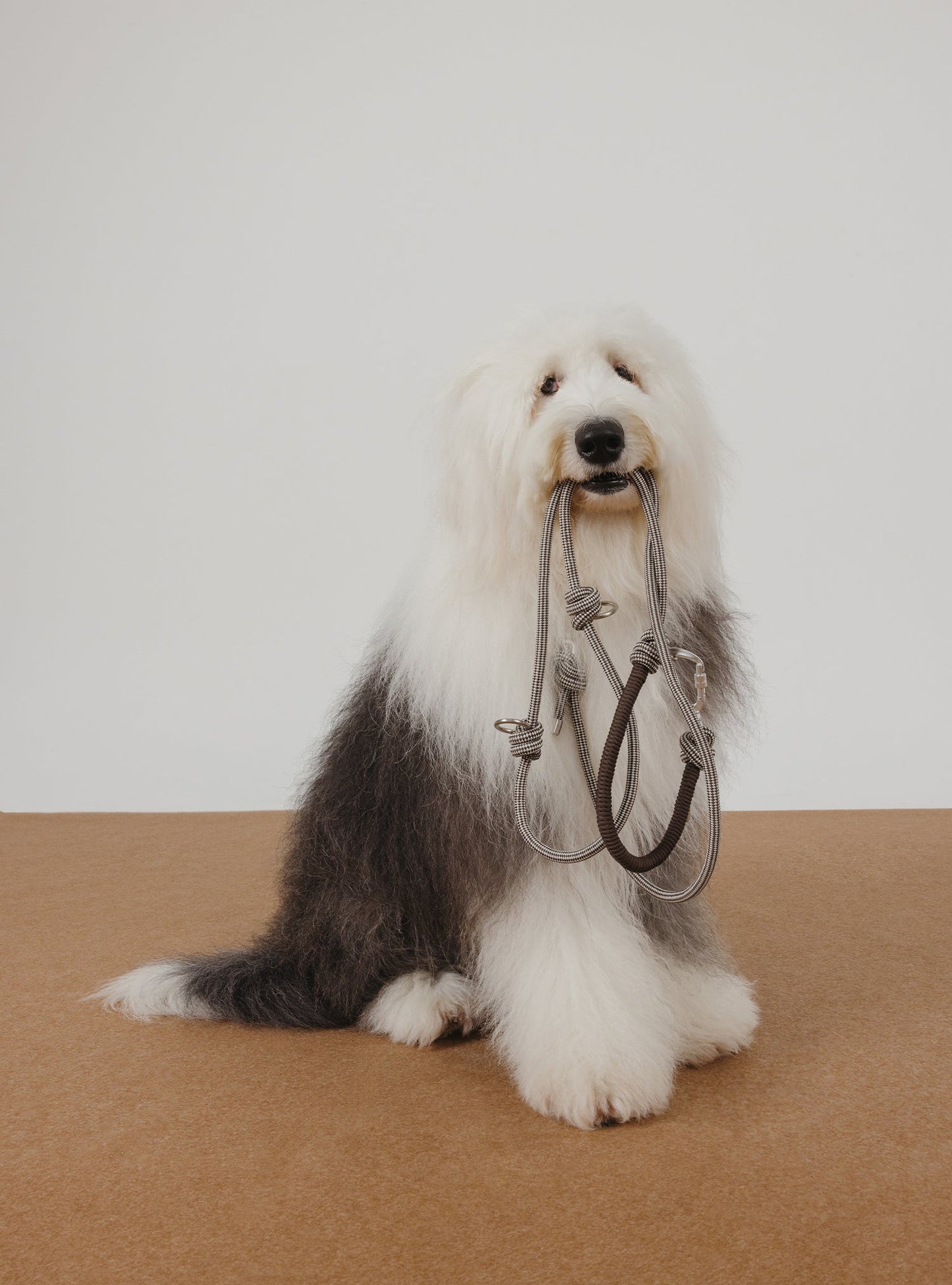 Multi-Way Rope Leash (Rum)