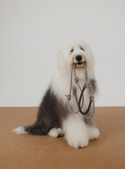 Multi-Way Rope Leash (Rum)