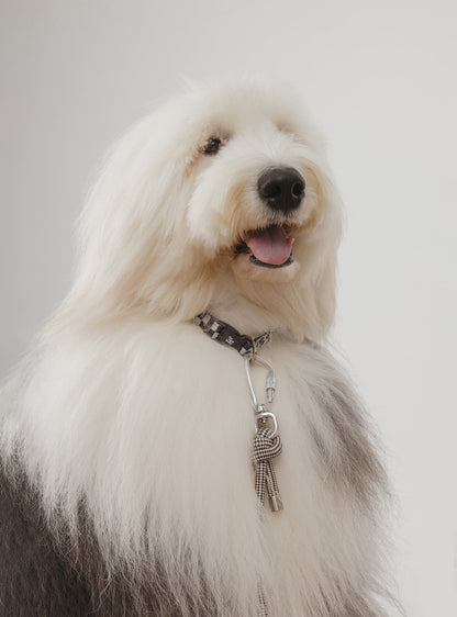 Pet Collar (Rum)