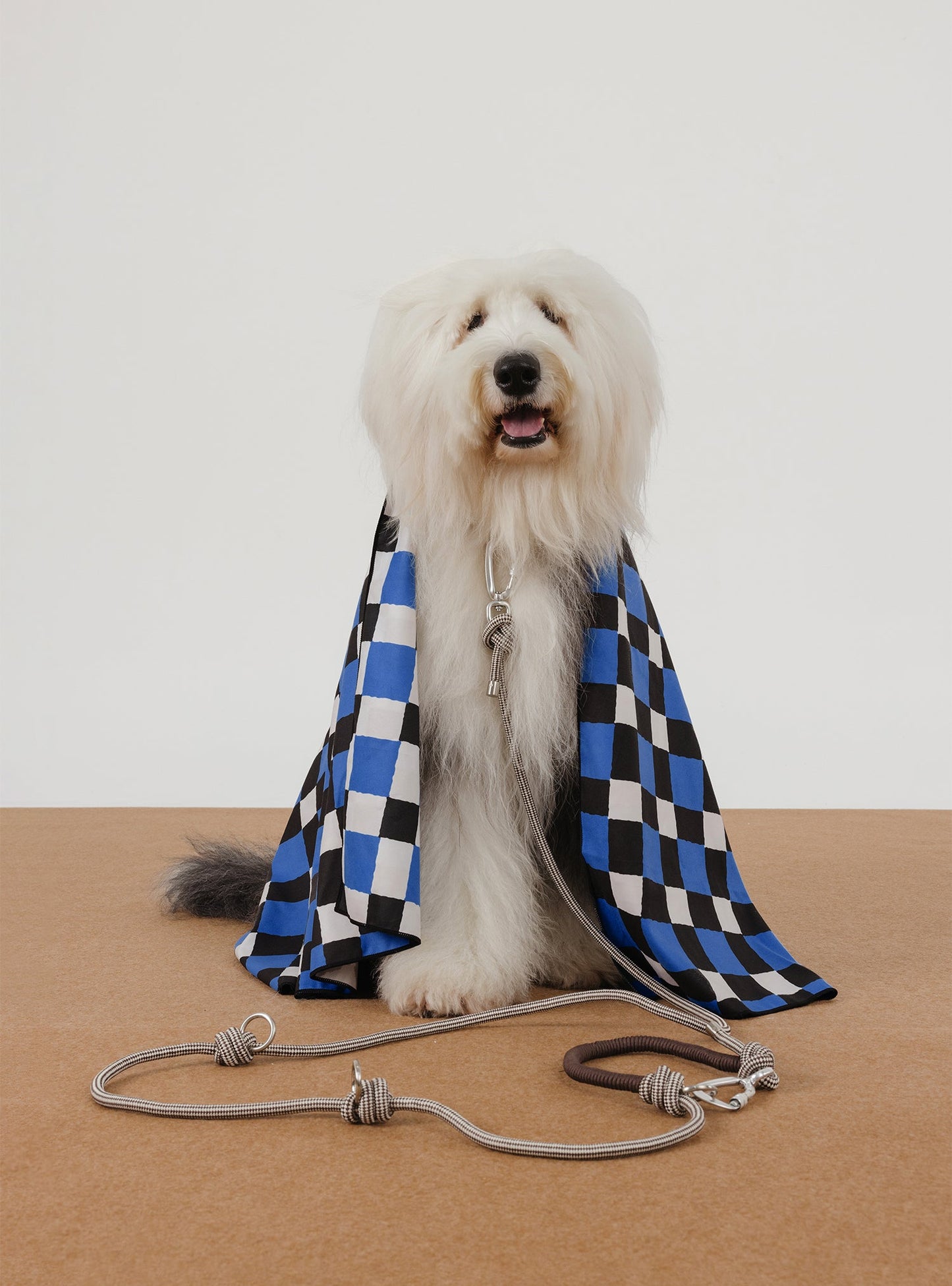 Multi-Way Rope Leash (Rum)