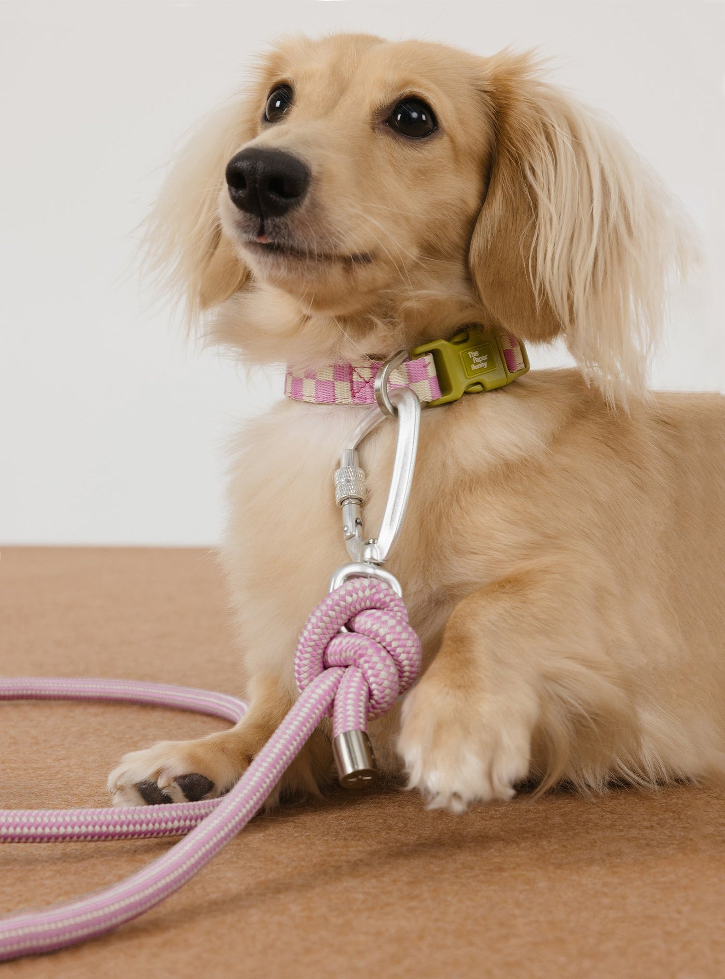 Multi-Way Rope Leash (Orchid)