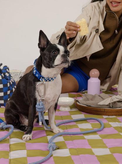 Multi-Way Rope Leash (Blue)
