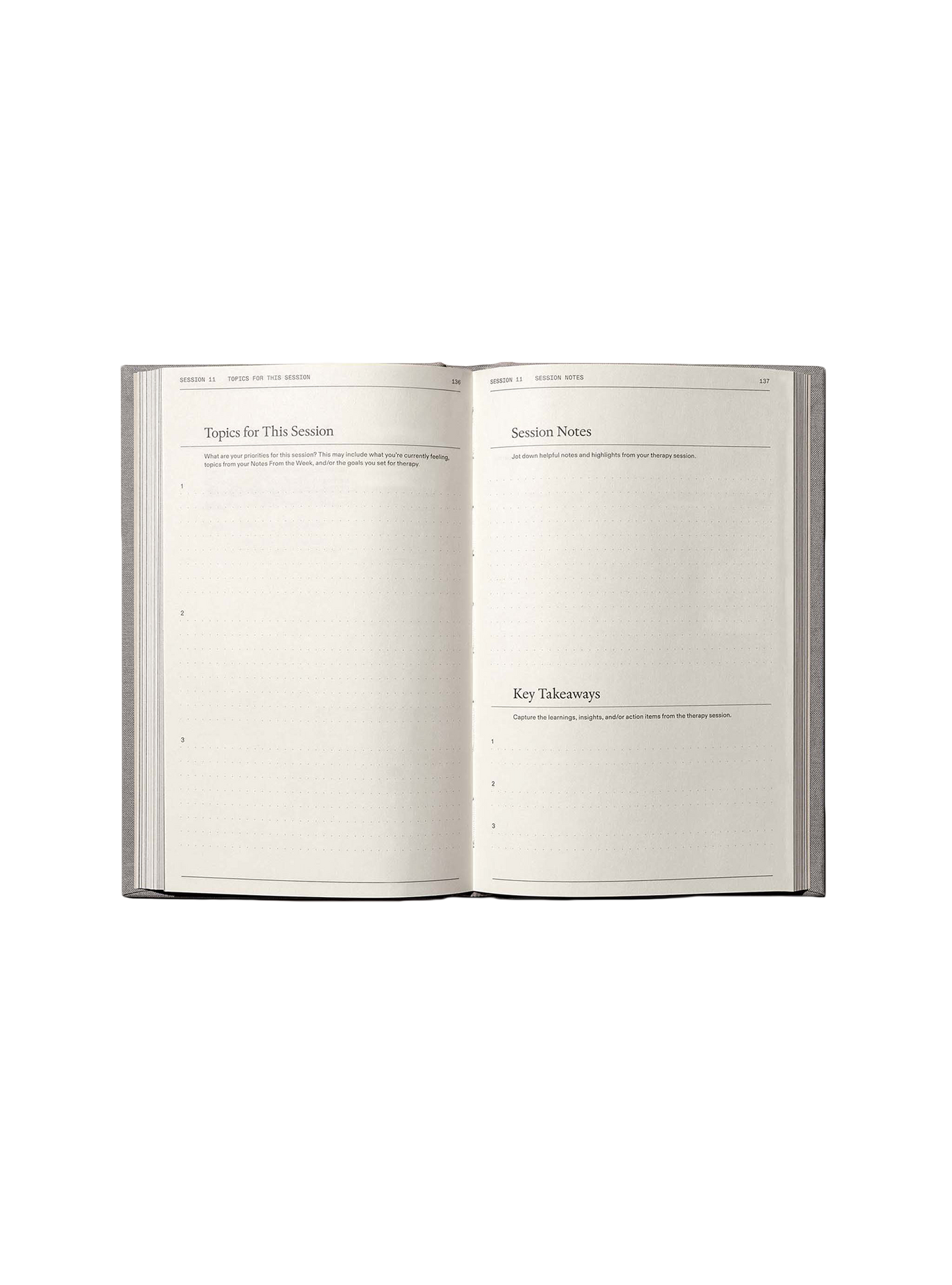 The Therapy Journal