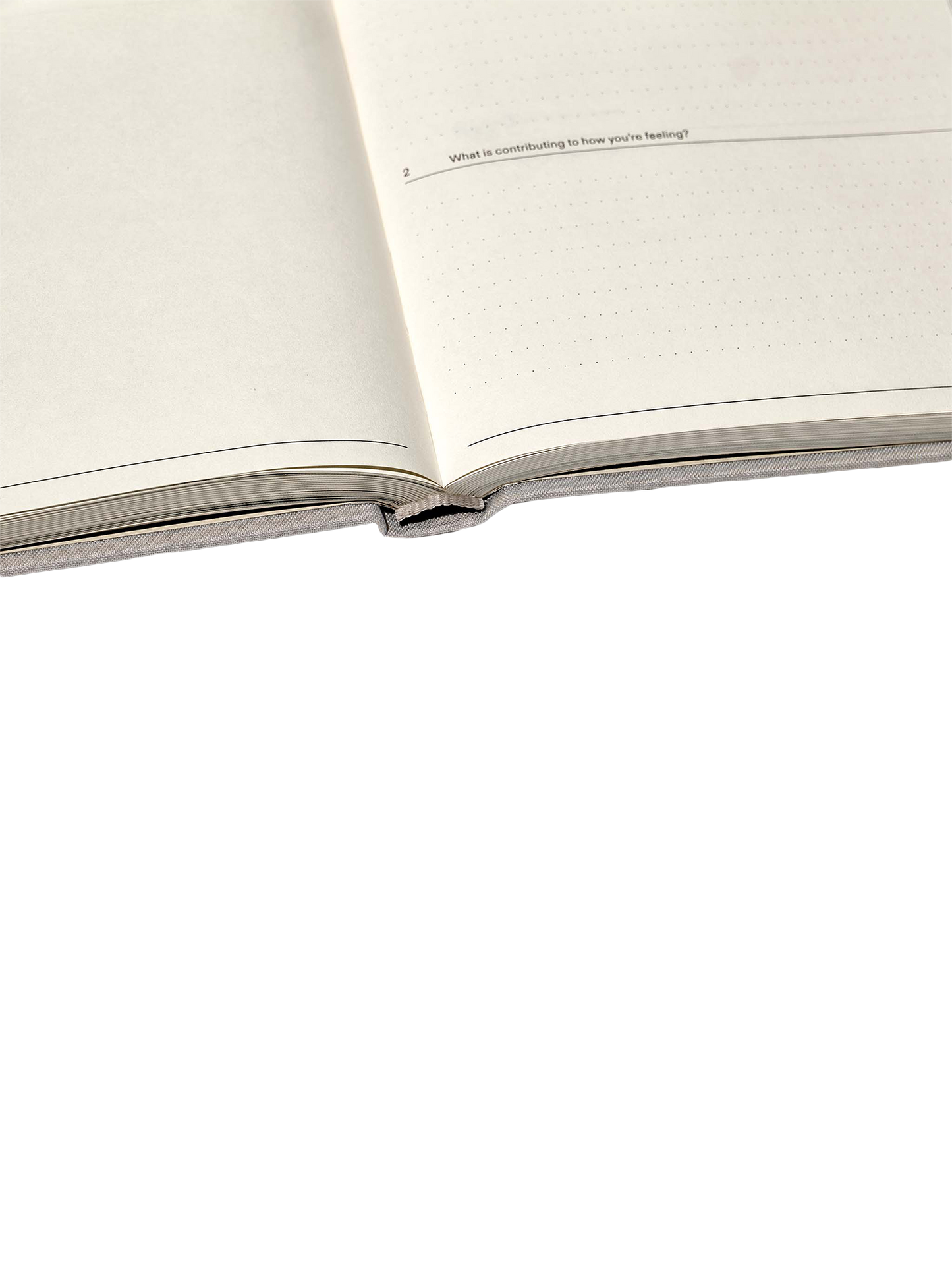 The Therapy Journal