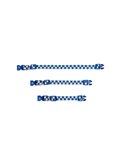 Pet Collar (Blue)
