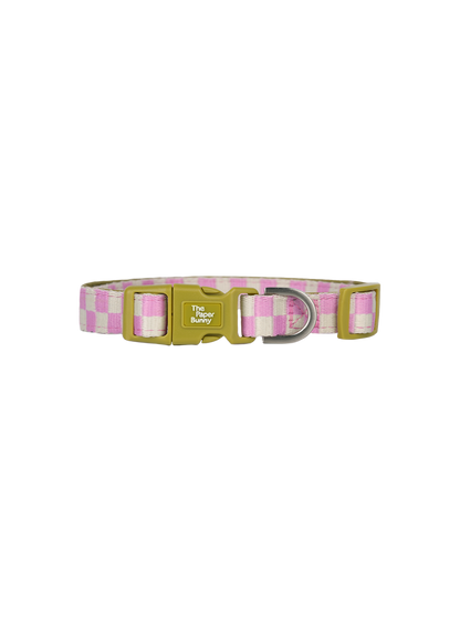 Pet Collar (Orchid)