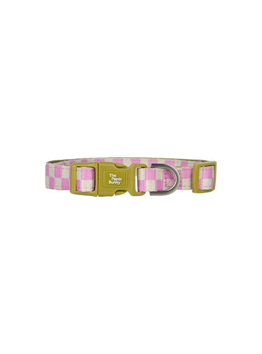 Pet Collar (Orchid)