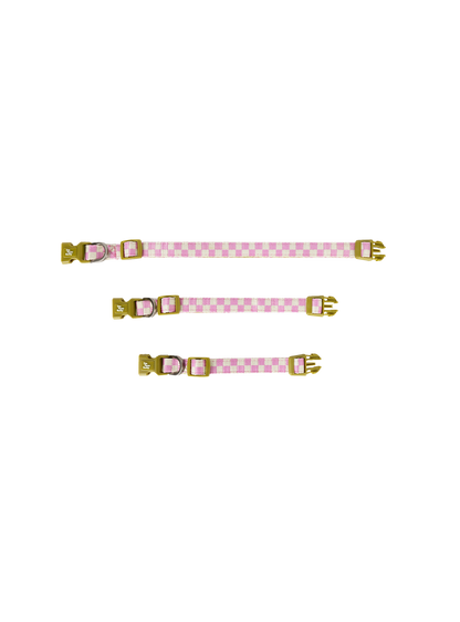 Pet Collar (Orchid)