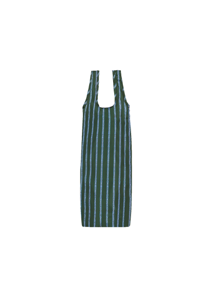 Reusable Bottle Bag (Streaks Green)