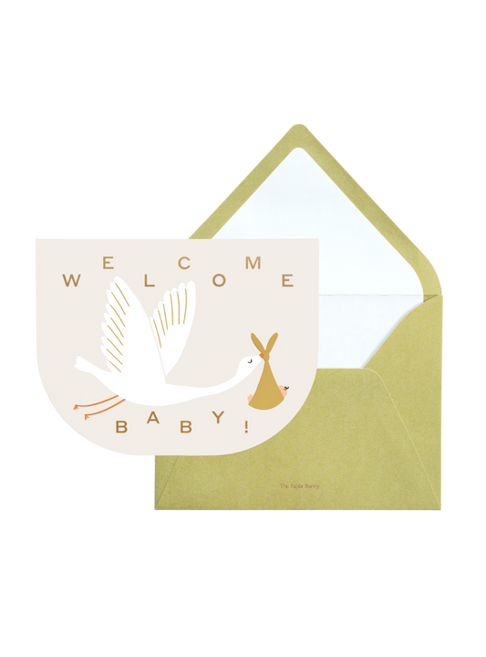 Welcome Baby Stork Greeting Card